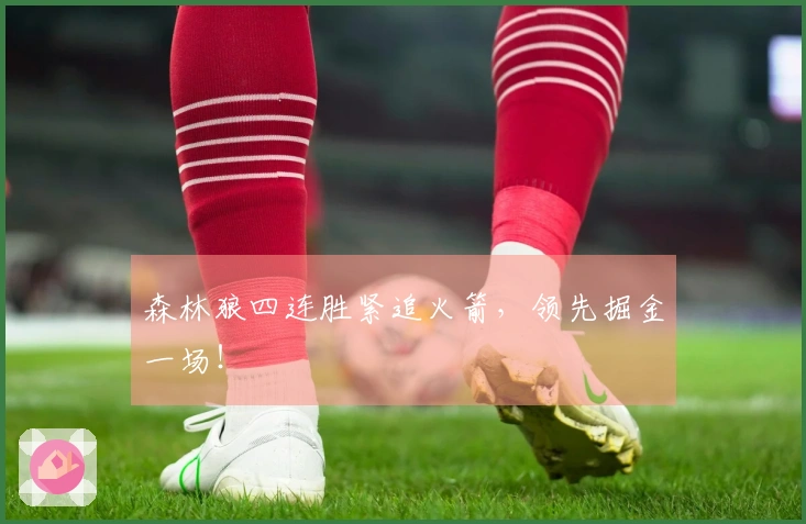 森林狼四连胜紧追火箭，领先掘金一场！