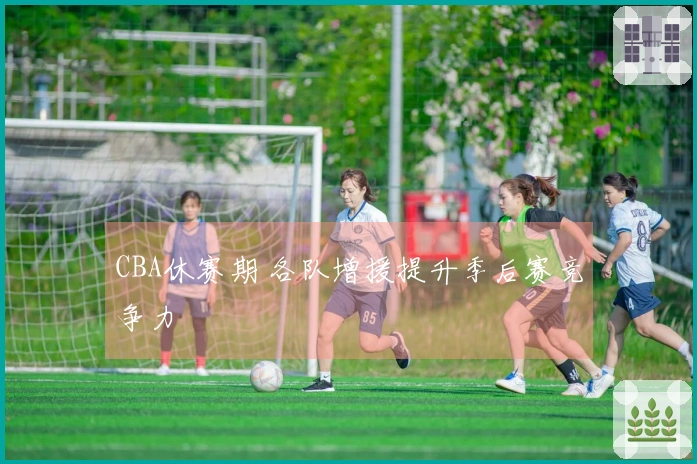 CBA休赛期 各队增援提升季后赛竞争力