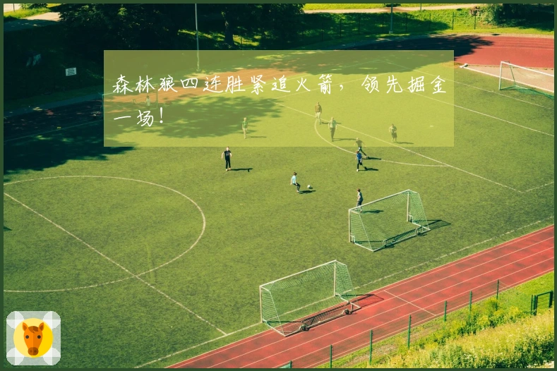 森林狼四连胜紧追火箭，领先掘金一场！